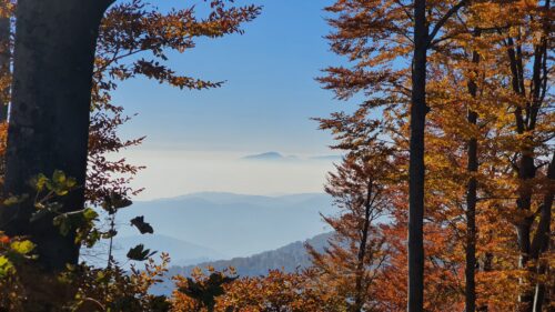 Vrh Veliki Plazur 869 m