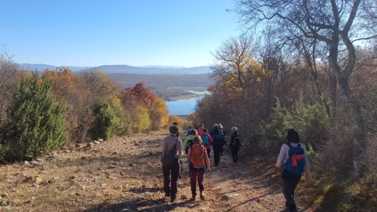 Jezero Ponikve