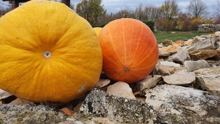 Špilja Feštinsko kraljevstvo