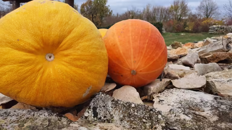 Špilja Feštinsko kraljevstvo