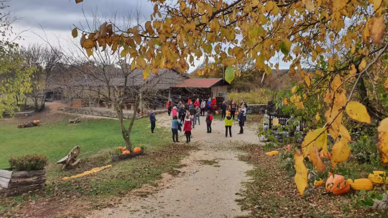 Špilja Feštinsko kraljevstvo