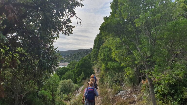 Početak staze Stjepana Hausera