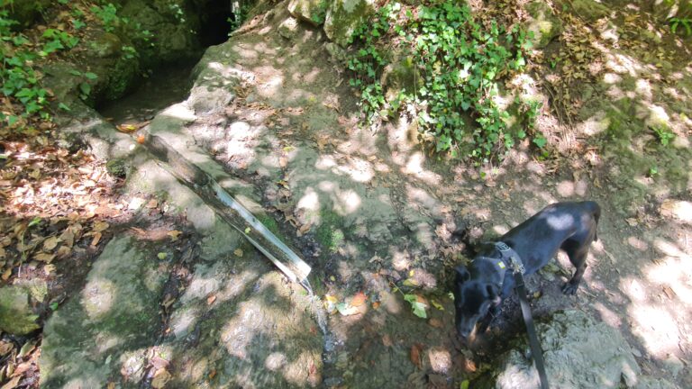 Izvor Jambrišakovo vrelo