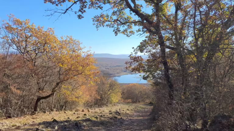 Jezero Ponikve