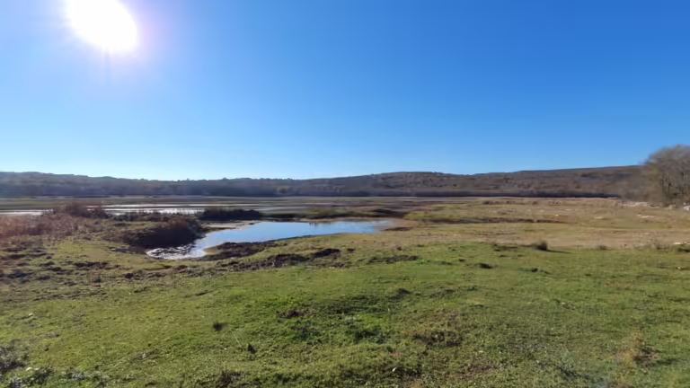 Jezero Ponikve