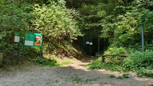 Gornji Stenjevec – PD Glavica – Ponikve