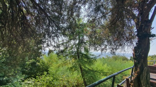 Planinarski dom Glavica