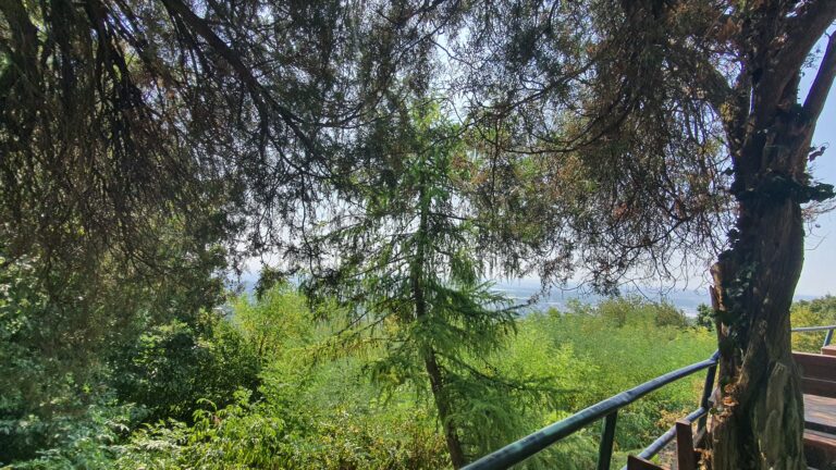 Planinarski dom Glavica