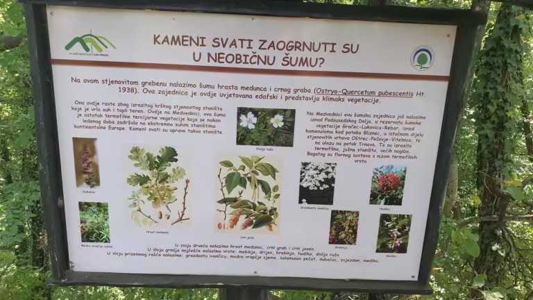 Kameni svati