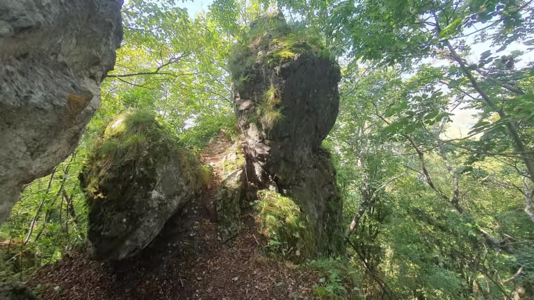 Kameni svati