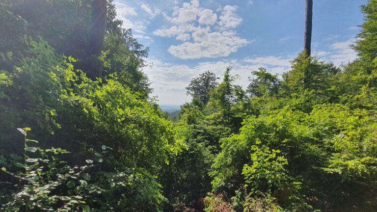 Pećina Podcintarnica