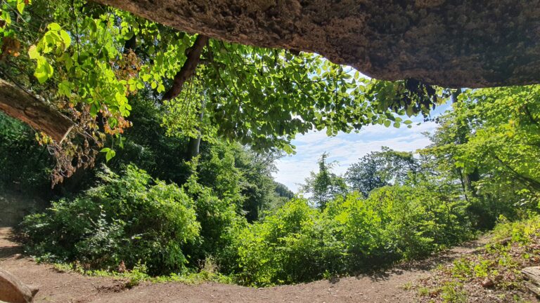 Pećina Podcintarnica