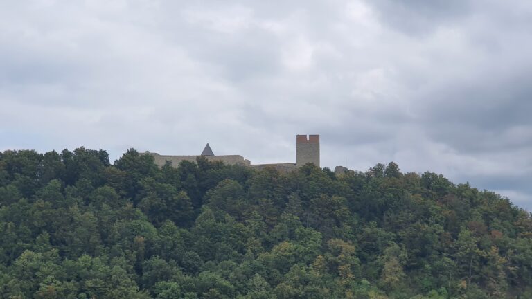 Pogled na Medvedgrad