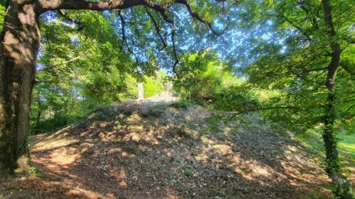 Stari grad Susedgrad