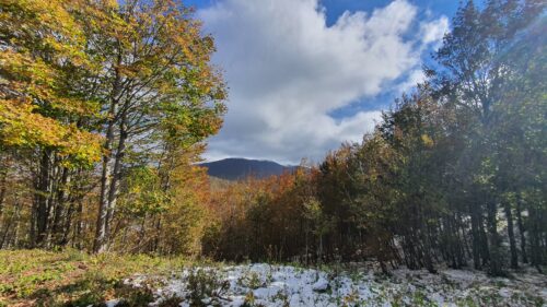 Planinarska kuća Jančarica