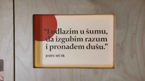 Medvedgrad, Veliki Plazur, Grafičar