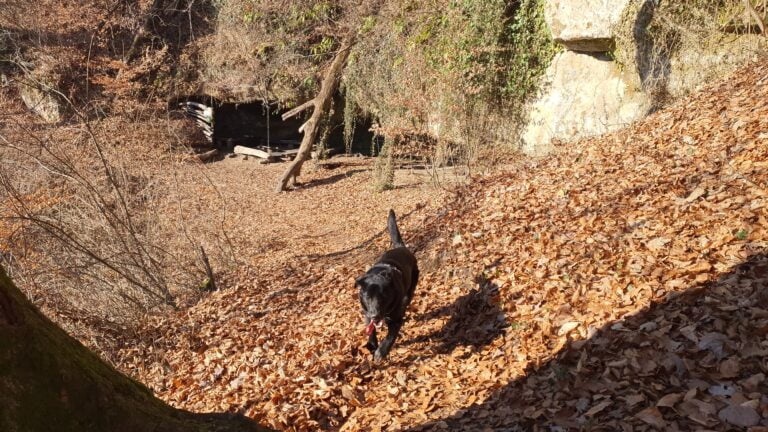 Pećina Podcintarnica