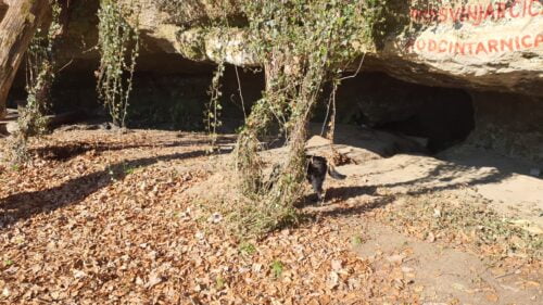 Pećina Podcintarnica