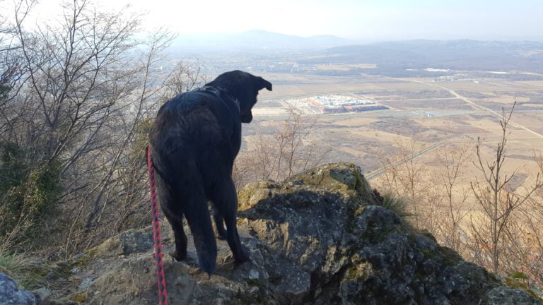 Vrh Kameni svati 489 m