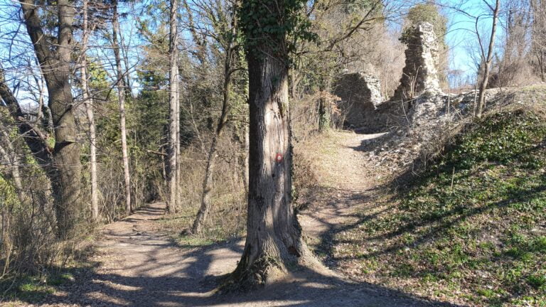 Stari grad Susedgrad