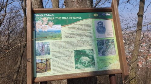 Početak staze Sokola