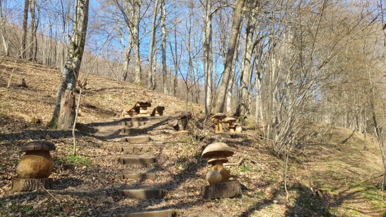 Izletište sa drvenim skulpturama