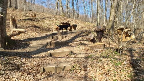 Izletište sa drvenim skulpturama