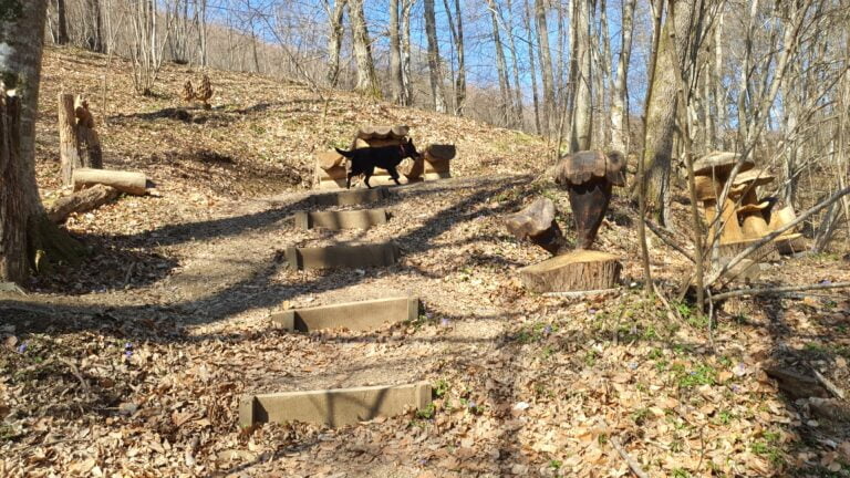 Izletište sa drvenim skulpturama
