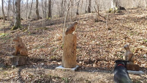 Izletište sa drvenim skulpturama