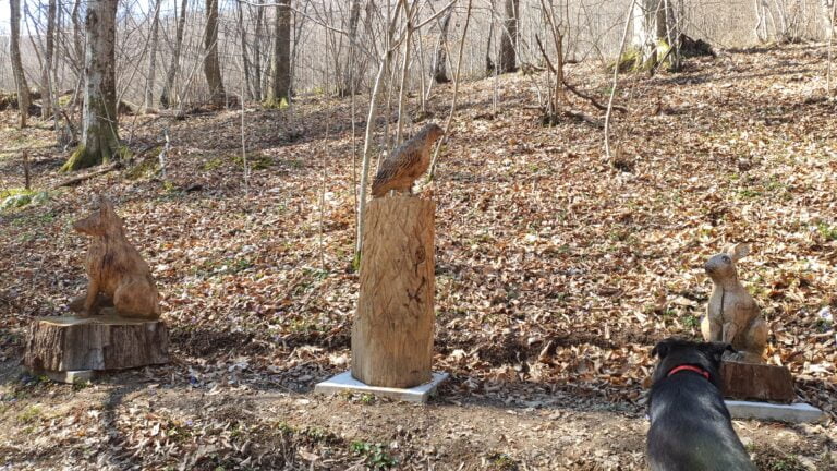 Izletište sa drvenim skulpturama