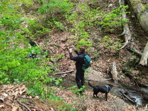 Mali i veliki potok, PD Risnjak