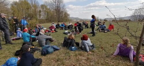 Vrh Noršička Plešivica 721 m