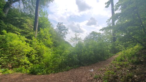 Pećina Podcintarnica