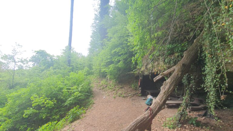 Pećina Podcintarnica