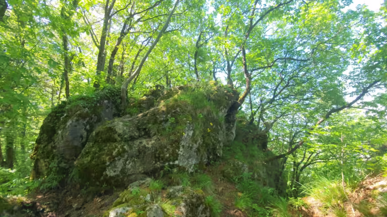 Kameni svati