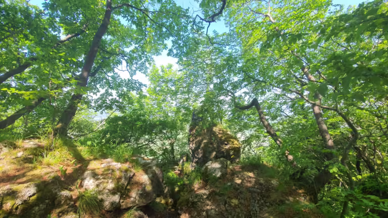 Kameni svati