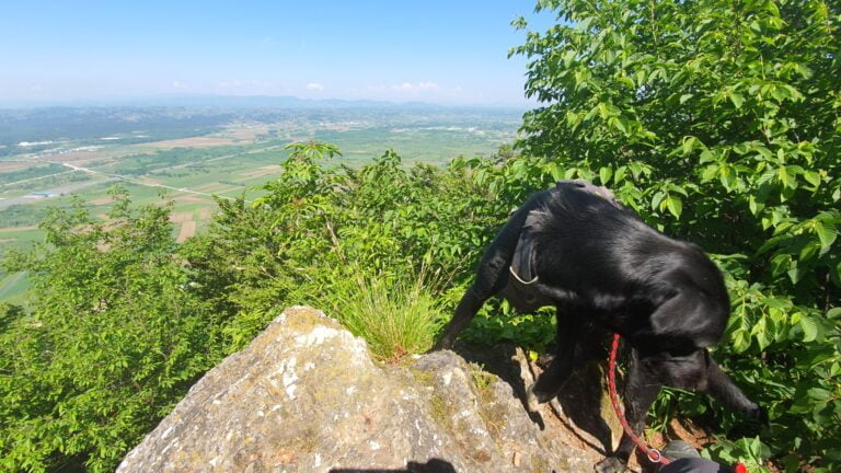 Vrh Kameni svati 489 m