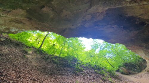 Po gradu i brdu IV. 🌳