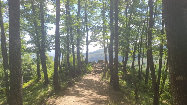 Planinarsko sklonište Lipa