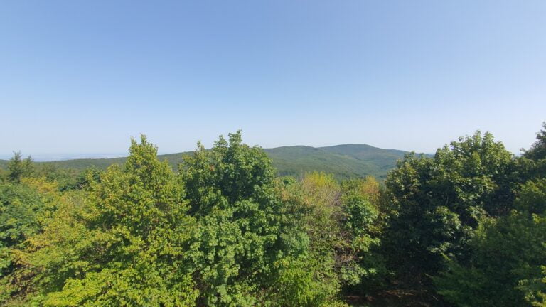 Vrh Nevoljaš 740 m