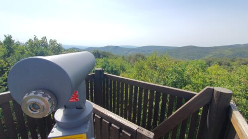 Papuk: Jankovac, vrh Nevoljaš