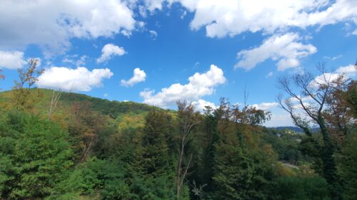 Risnjak i Medvedgrad