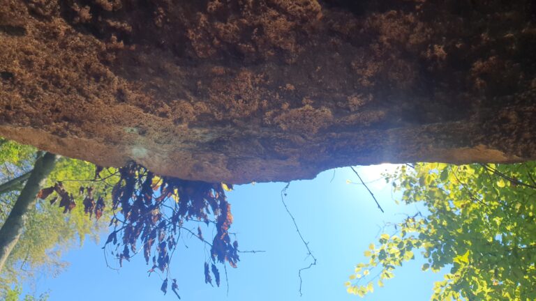 Pećina Podcintarnica