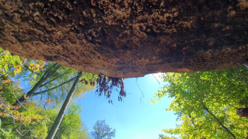 Pećina Podcintarnica