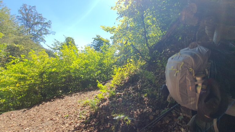 Pećina Podcintarnica