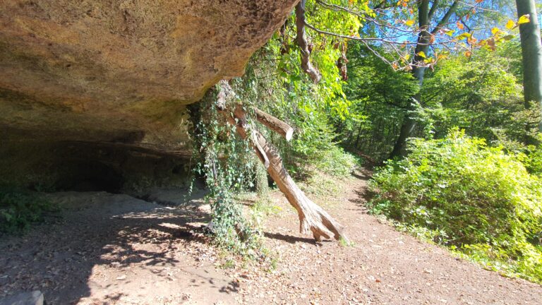 Pećina Podcintarnica