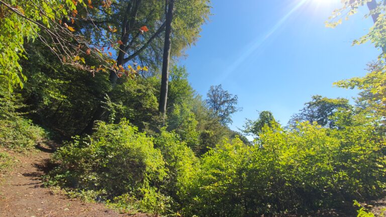 Pećina Podcintarnica