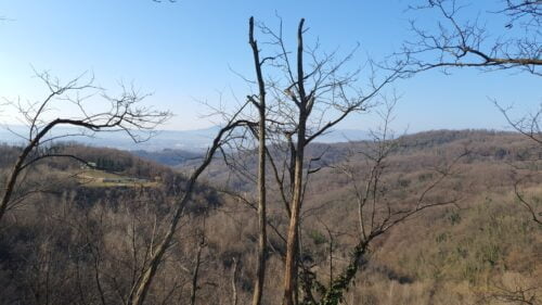 Vidikovac Bizek kamenolom