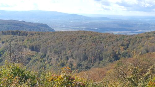 Vrh Veliki Plazur 869 m