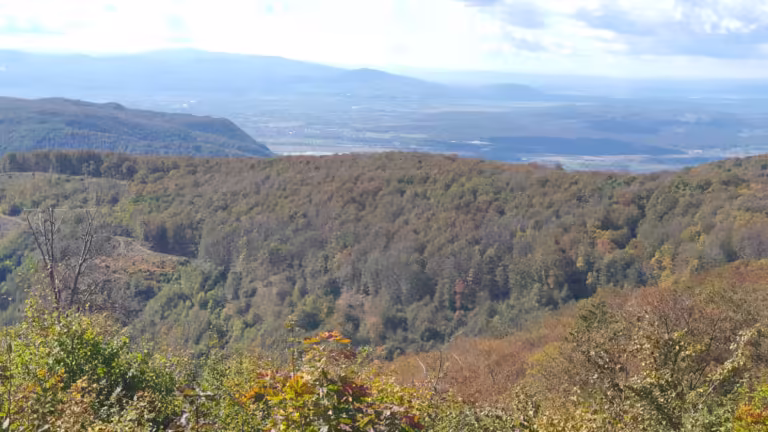 Vrh Veliki Plazur 869 m